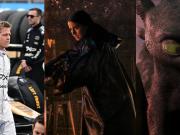 Brad Pitt, Pixar y John Wick regresan al cine: los imperdibles de junio