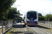 Tren del Valle con cronograma especial este martes: cuáles son los servicios que no funcionan entre Plottier, Neuquén y Cipolletti
