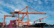 Hay nuevas opciones para el comercio exterior argentino entre Argentina y Asia
