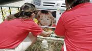 Los detalles de la nueva búsqueda de Madeleine McCann en el Algarve, al sur de Portugal