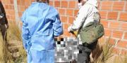 Fiscalía investiga feminicidio en Calamarca, hay tres personas aprehendidas
