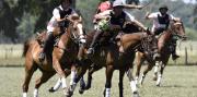 El Pato es el deporte nacional, pero el Gobierno no quiso votar en la ONU a favor del Día Internacional del Caballo