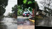 Las imágenes del severo temporal que arrasó en Misiones: destrozos y anegaciones