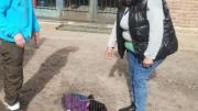 Un gato montés llegó a la Estación de Cría de Animales Silvestres
