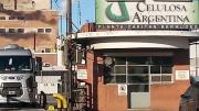 La propuesta de Celulosa
