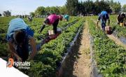 El ataque al INTA pone en riesgo a 158.000 establecimientos de la agricultura familiar