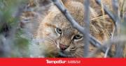 Fotografía con la mirada puesta en la biodiversidad patagónica