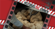 Destino fatal: el adolescente que murió trágicamente en una panadería de Jáchal