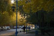 ¿Sol o lluvia este lunes?: El clima sorprende en el comienzo de semana en Neuquén y Río Negro