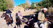 Calingasta: rastrillan zonas rurales para controlar a las jaurías tras ataques a ovejas