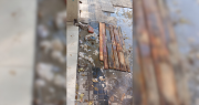 Vecinos de un edificio de La Plata denuncian que sale excremento de la vereda desde hace dos semanas