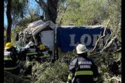 Camionero perdió la vida al estrellarse contra árboles de una zona montuosa