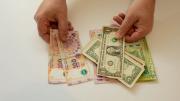 Deuda para sumar reservas, apertura a capitales golondrina y aspiradora de pesos: las claves de los anuncios
