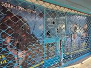 Vandalizaron y destrozaron locales libertarios en Tigre y Quilmes: taparon con pintura las fotos de Milei