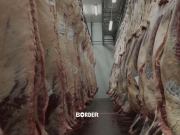 Decisión oficial: prórroga para el ingreso de carne sin hueso a la Patagonia