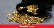 El Oro Alcanzó Nuevos Máximos: ¿Qué Significa para Nuestros Inversores?