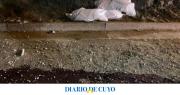 Mataron a un adolescente de un balazo en la cara