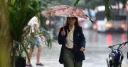 Se viene un finde pasado por agua en La Plata con lluvias y fuertes vientos