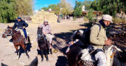 Siguen buscando a la jauría que mató decenas de ovejas en Calingasta