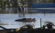 Bahía Blanca recibirá fondos de la ONU para recuperar el sector productivo