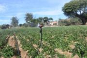 Entregan sistema de riego para fortalecer la producción alimentos en Caraparí