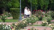 Baja en las reservas turísticas: el presidente de la UCIM alertó por la situación