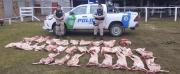 Secuestraron un cargamento de 500 kilos de carne vacuna y ovina transportada ilegalmente en Dina Huapi