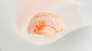 Primer implante cerebral en el mundo ayuda a hablar a hombre con discapacidad grave
