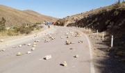 Organizaciones sindicales evistas declaran pausa en el bloqueo de caminos