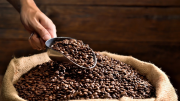 El país de América del Sur que lidera la exportación de café en el mundo: superó Colombia