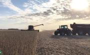 El campo apura la venta de soja antes que vuelvan a subir las retenciones