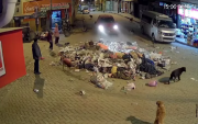 Aprehenden a chofer que atropelló a una mujer de la tercera edad en la Feria 16 de Julio cuando reciclaba basura