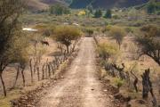 Alcaldía de Tarija cumple con la apertura y mantenimiento de caminos en el área rural