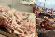 Mientras en Trinidad asan 50 reses por un récord, en el occidente cocinan con menudencias