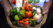 Se mantienen elevados los precios de verduras y de la papa en Santa Cruz ante persistencia de bloqueos