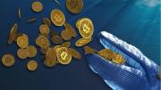 Una criptomoneda batió un nuevo récord y ya alcanzó 2.700 ballenas