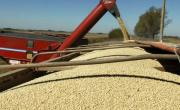 Aumentan al máximo las ventas de soja antes de que finalice la rebaja de retenciones