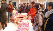 Gobernación de Oruro impulsa carne de llama como alternativa ante alza de precios