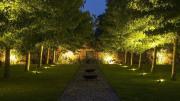 Así podés iluminar tu jardín de noche con energía solar y ahorrar en tu factura de luz