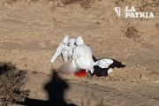 Hallan a mujer muerta en Challapampita Chica: investigación en curso