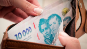 Tras la salida del cepo cambiario, qué moneda prefieren los asalariados a la hora de cobrar los sueldos
