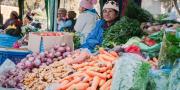 Gobierno garantiza la producción de alimentos, con mayor rendimiento agrícola y provisión de combustible