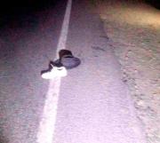 Joven de 25 años muere tras ser atropellada en Uyuni