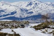 Entre lagos y araucarias, la Ruta 23 ya es escénica por ley en Neuquén: a dónde podemos llegar