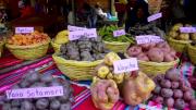 Tarija: anuncian la feria de la papa este sábado con exposición y fijación oficial de precios