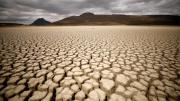 Los humanos se adaptaron al ambiente antes de salir de África