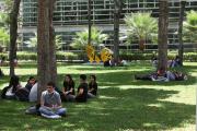 UCAB lidera en Venezuela el ranking global de universidades comprometidas con los ODS: ¿De qué se trata?