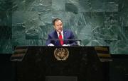 Venezuela reafirma en la ONU apoyo a los pueblos bajo ocupación colonial