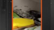 Denuncian hacinamiento de cadáveres en la morgue del hospital San Juan de Dios en Santa Cruz