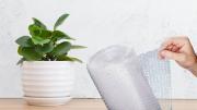 Pocos lo saben: así puedes usar papel burbuja para cuidar tus plantas en invierno, según expertos en jardinería
